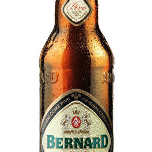 Bernard-Svatecni-Lezak